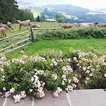 Hochfelner Sankt Marein bei Knittelfeld
