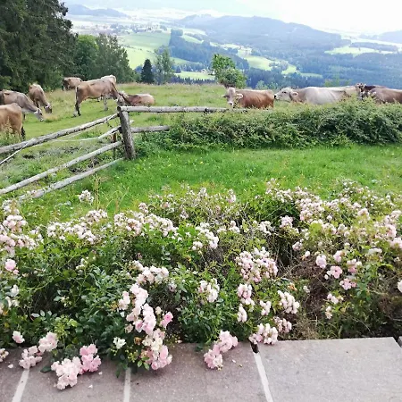 Hochfelner Sankt Marein bei Knittelfeld