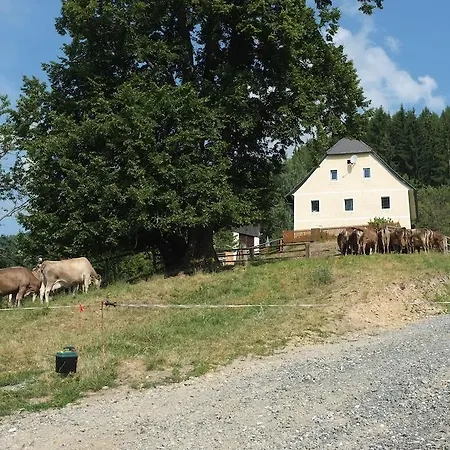 Дом отдыха Hochfelner *