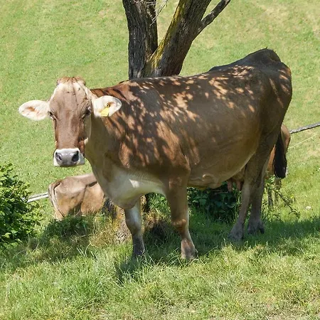 Hébergement de vacances Hochfelner *