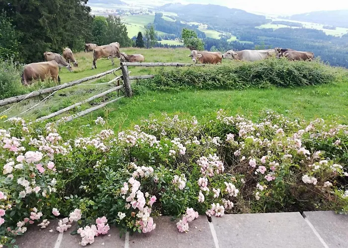 Hochfelner Sankt Marein bei Knittelfeld