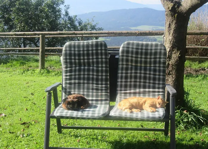 Hochfelner Ferienhaus *