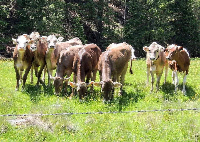 Ferienhaus Hochfelner
