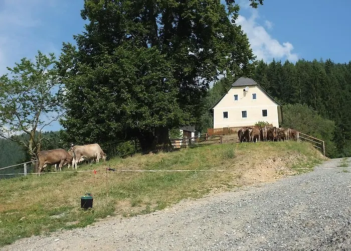 Ferienhaus Hochfelner *